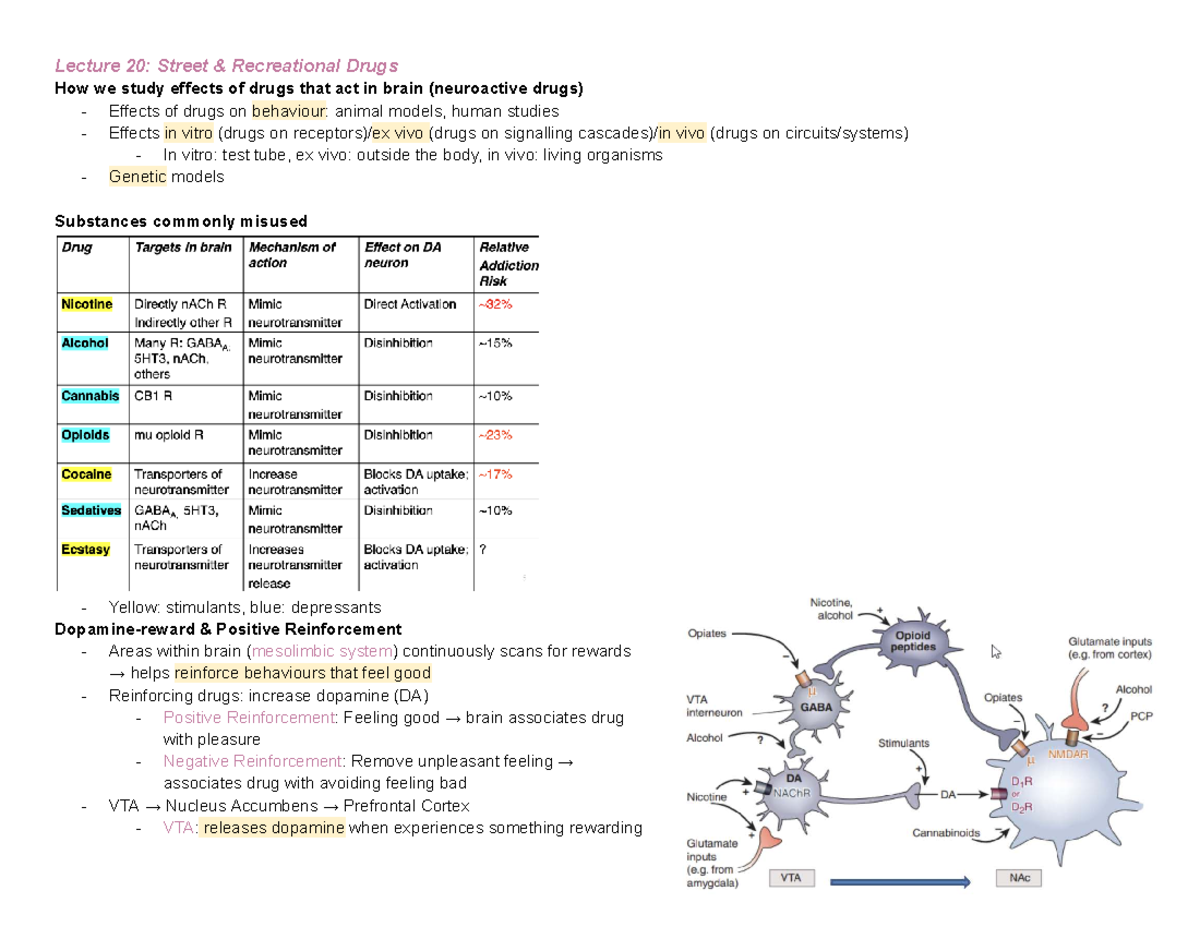 L20: Summary of Neuroactive Drugs and Their Effects on Behavior - Studocu