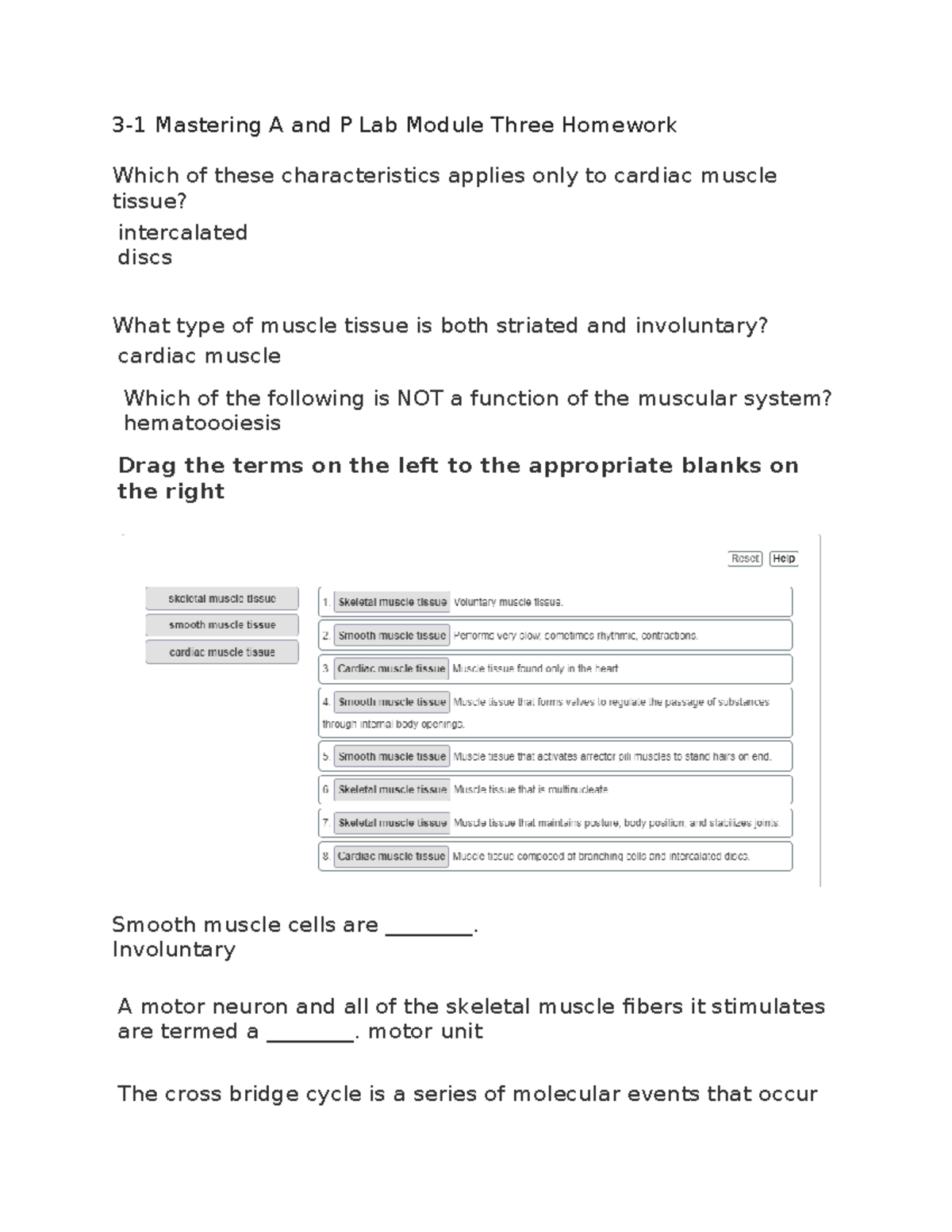 3-1 A&P Lab Homework: Key Concepts of Muscle Tissue Function - Studocu