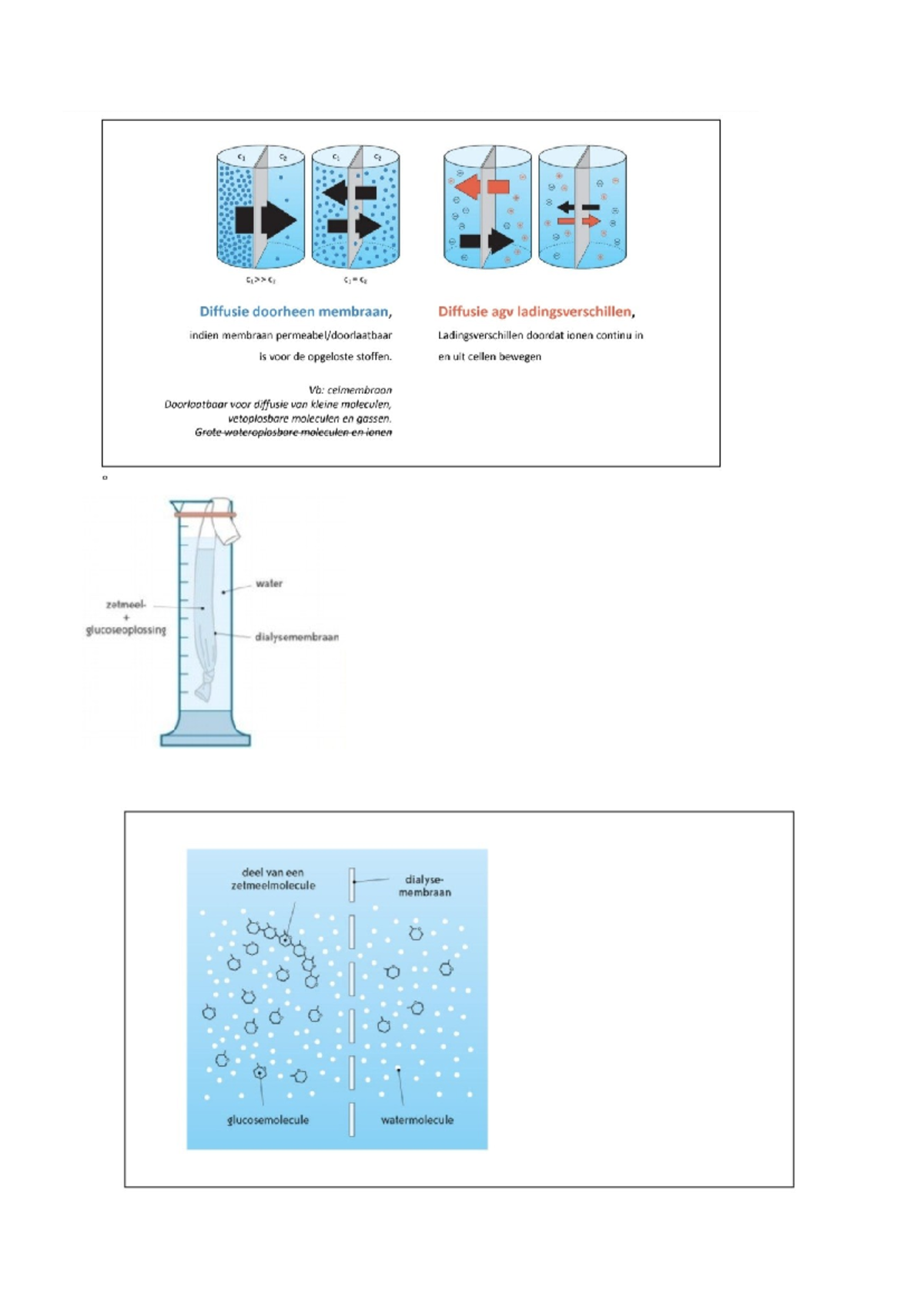 Afbeeldingen diffusie - Biologie - C1 C2 C Diffusie doorheen membraan ...