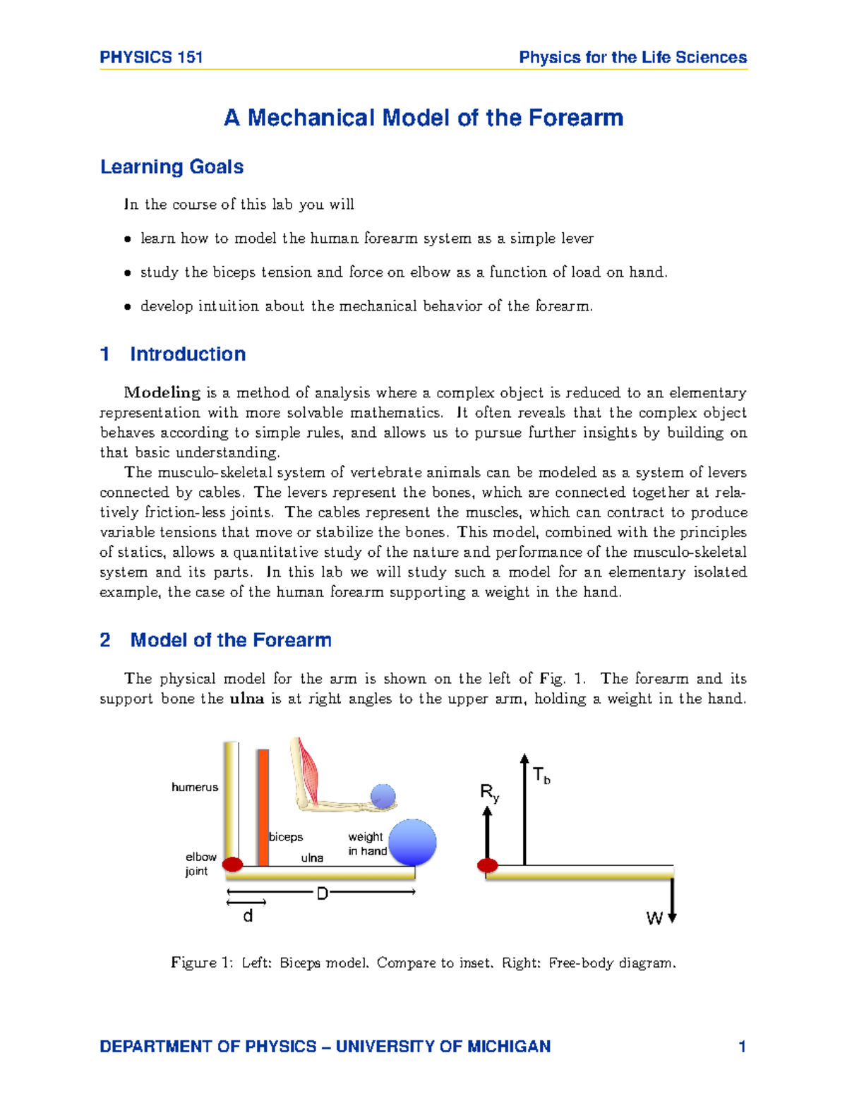 Lab 5 - Mechanical Modeling of the Human Forearm System - Studocu