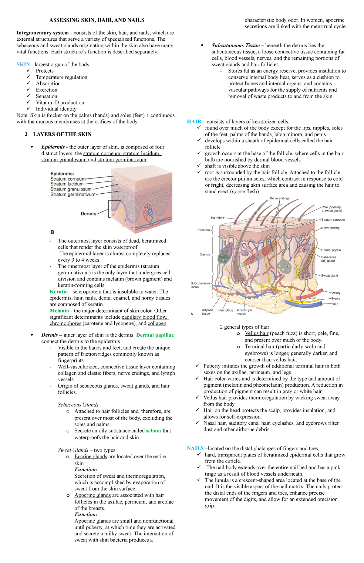 Summary Assessing SKIN, HAIR, AND Nails - ASSESSING SKIN, HAIR, AND ...