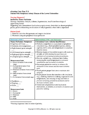 NCP - Risk for Falls: Nursing Care Plans and Interventions - Studocu