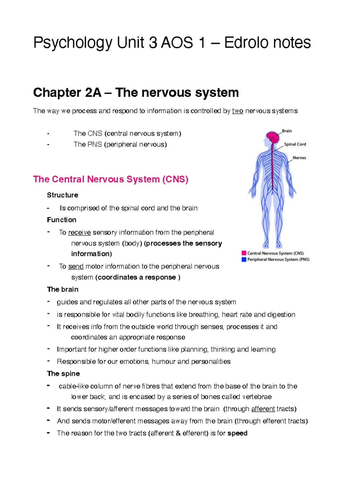 Psychology Unit 3 AOS 1: Chapter 2 - The Nervous System Overview - Studocu