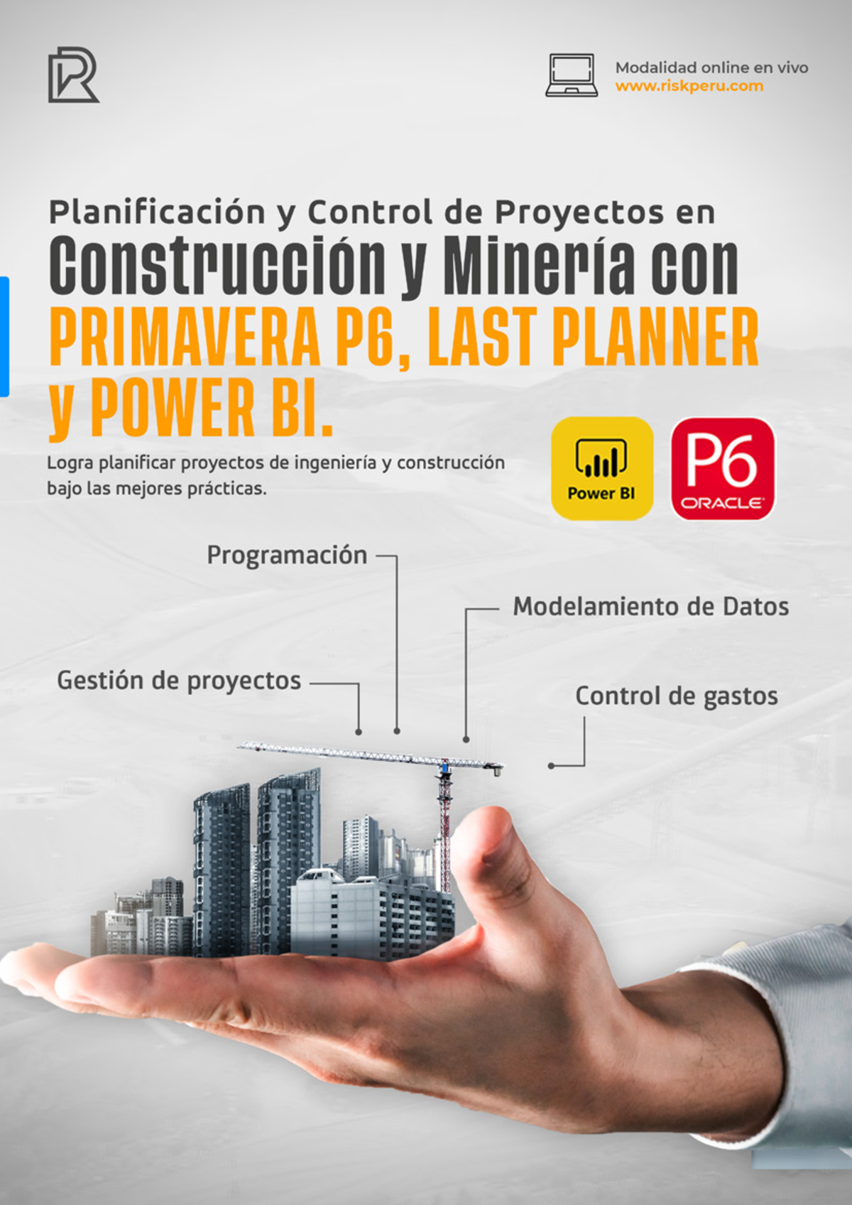 Planificación y Control de Proyectos con Primavera P6 y Power BI - RISK ...