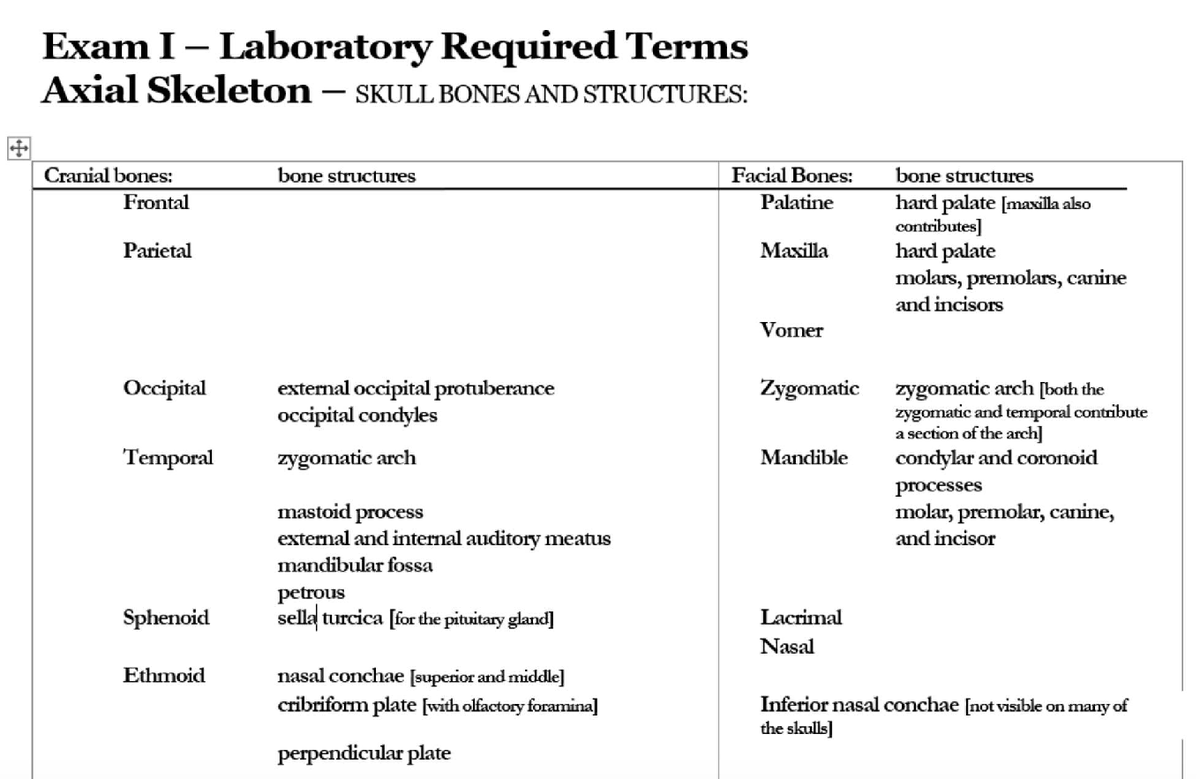Exam I Lab Terms: Axial Skeleton & Skull Bones Overview - Studocu