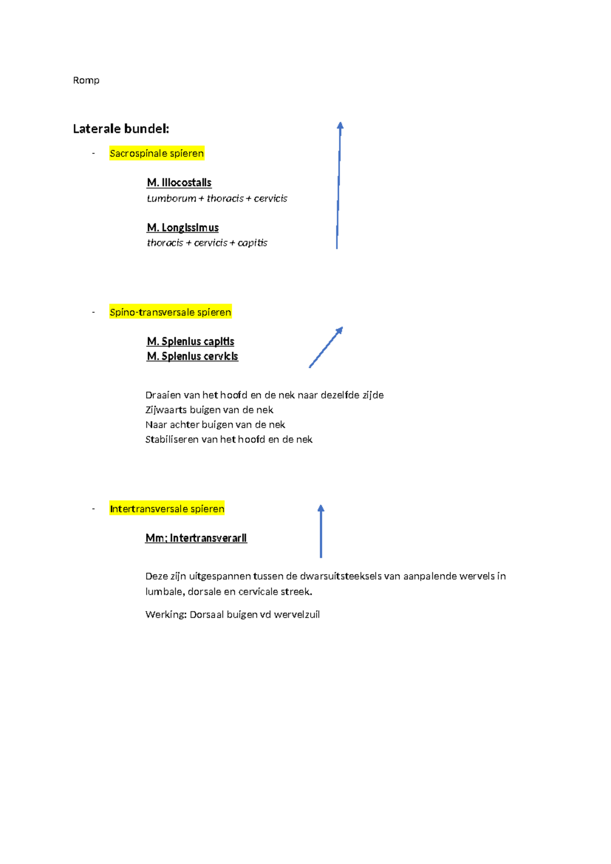 Spieren rug en buik - Samenvatting anatomie en fysiologie van het ...