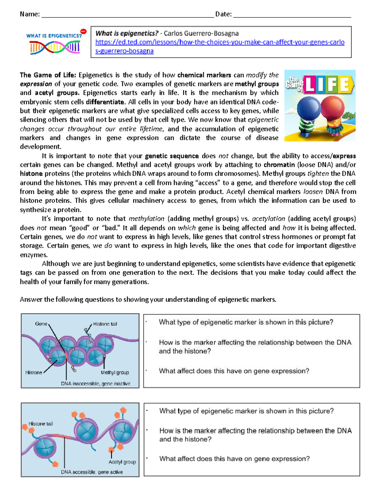 Epigenetics and The Game of Life: Student Sheet for BIO101 Final Exam ...