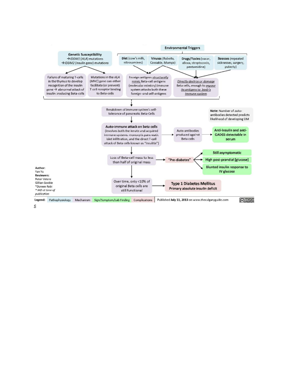 DM 2: Pathophysiology of Type 1 Diabetes Mellitus - Studocu
