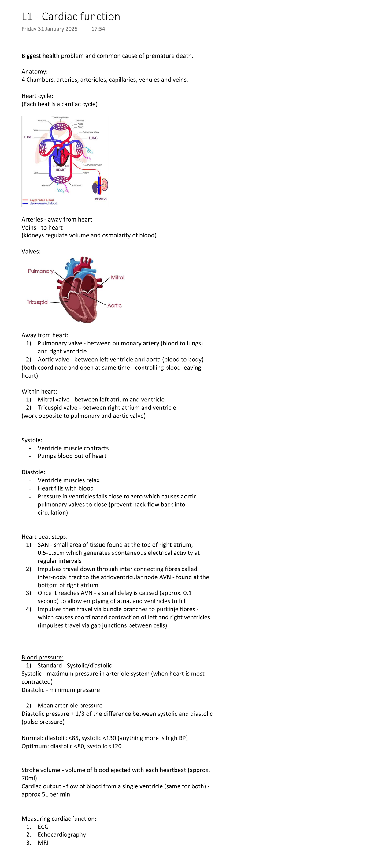 L1 - Cardiac Function: Year 2 Notes on Heart Anatomy & Cycle - Studocu
