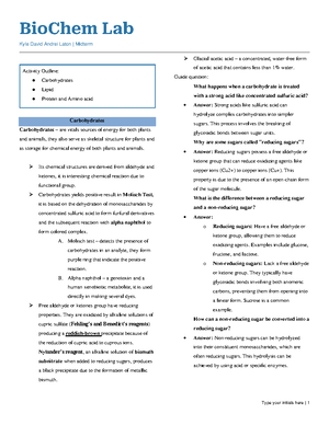 Histology LEC Midterm Outline: Muscle & Nervous Tissue Overview - Studocu