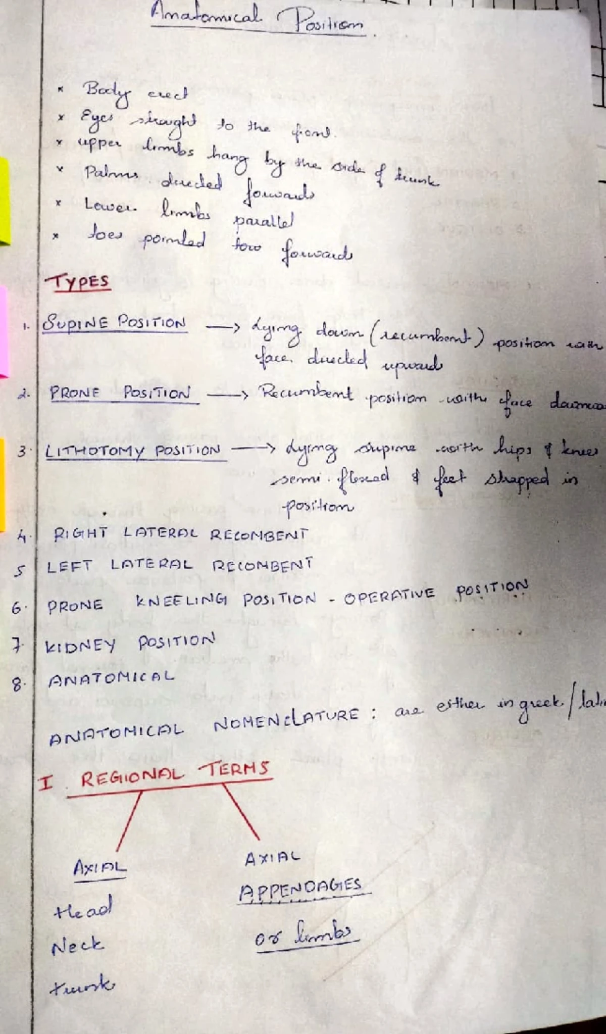 Thorax anatomy - lecture notes - FHoRAX ####### Osieoloay hoa meeucls ...