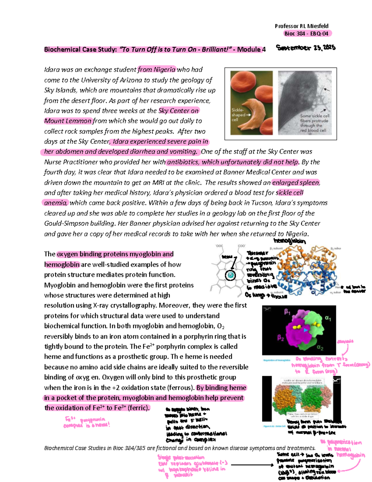 Biochemical Case Study on Sickle Cell Anemia - Bioc 384/385 - Studocu