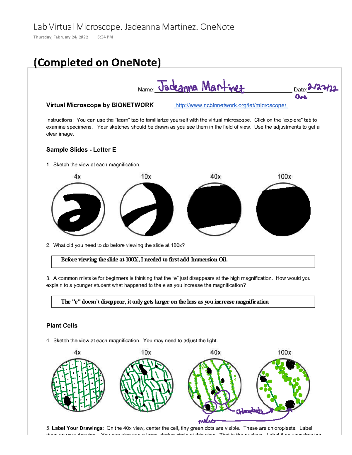 Lab Virtual Microscope: Observations and Findings (JM) - Studocu