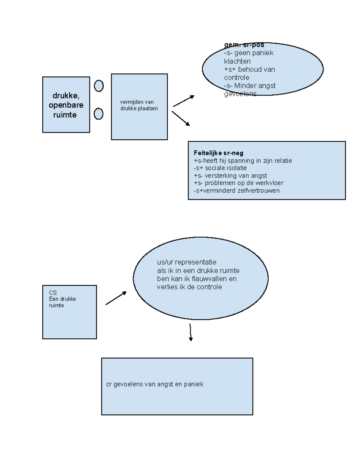 functieanalyse-en-betekenis-van-angst-in-drukke-ruimten-casestudy