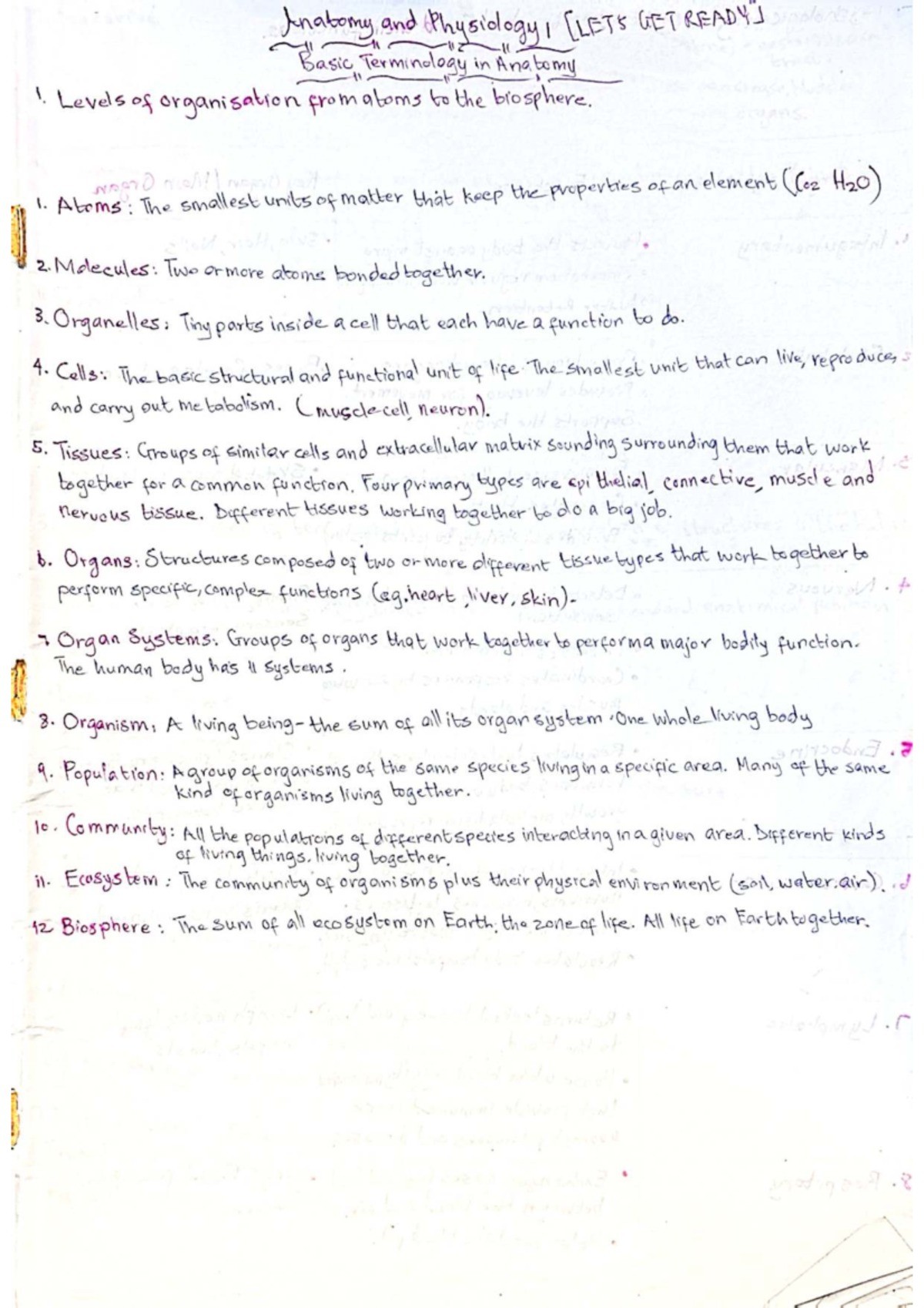 Anatomy and Physiology 1: Comprehensive Study Notes - Studocu