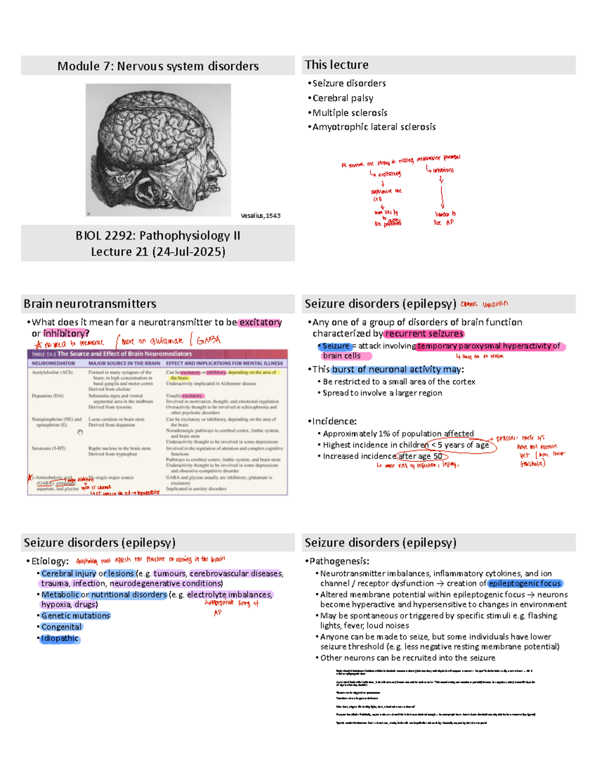 BIOL 2292: Pathophysiology II - Lecture on Nervous System Disorders ...