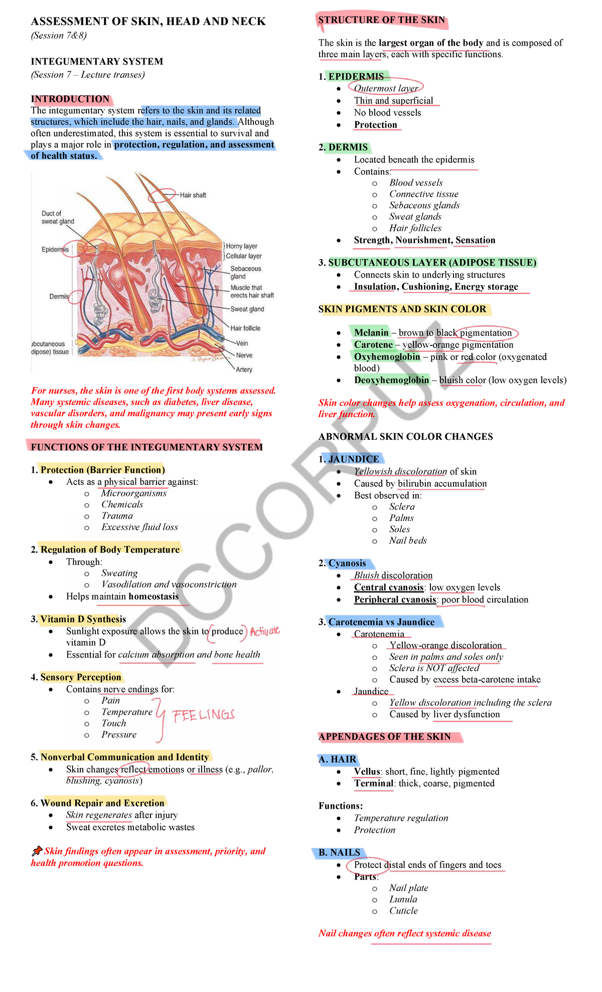 Assessment of Skin, Head, and Neck (Session 7 & 8 Lecture Notes) - Studocu