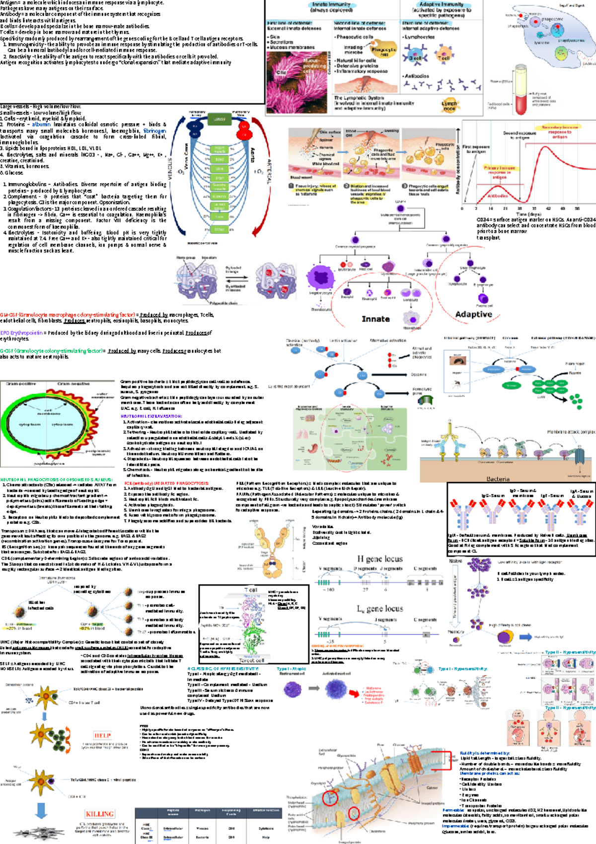 BIO107 Final Exam Study Guide: Immunology and Cellular Mechanisms - Studocu