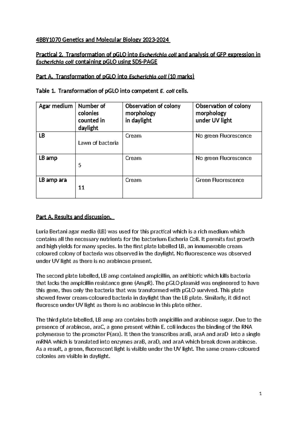 4BBY1070 Practical 2: Transformation of pGLO in E. coli & GFP Analysis ...