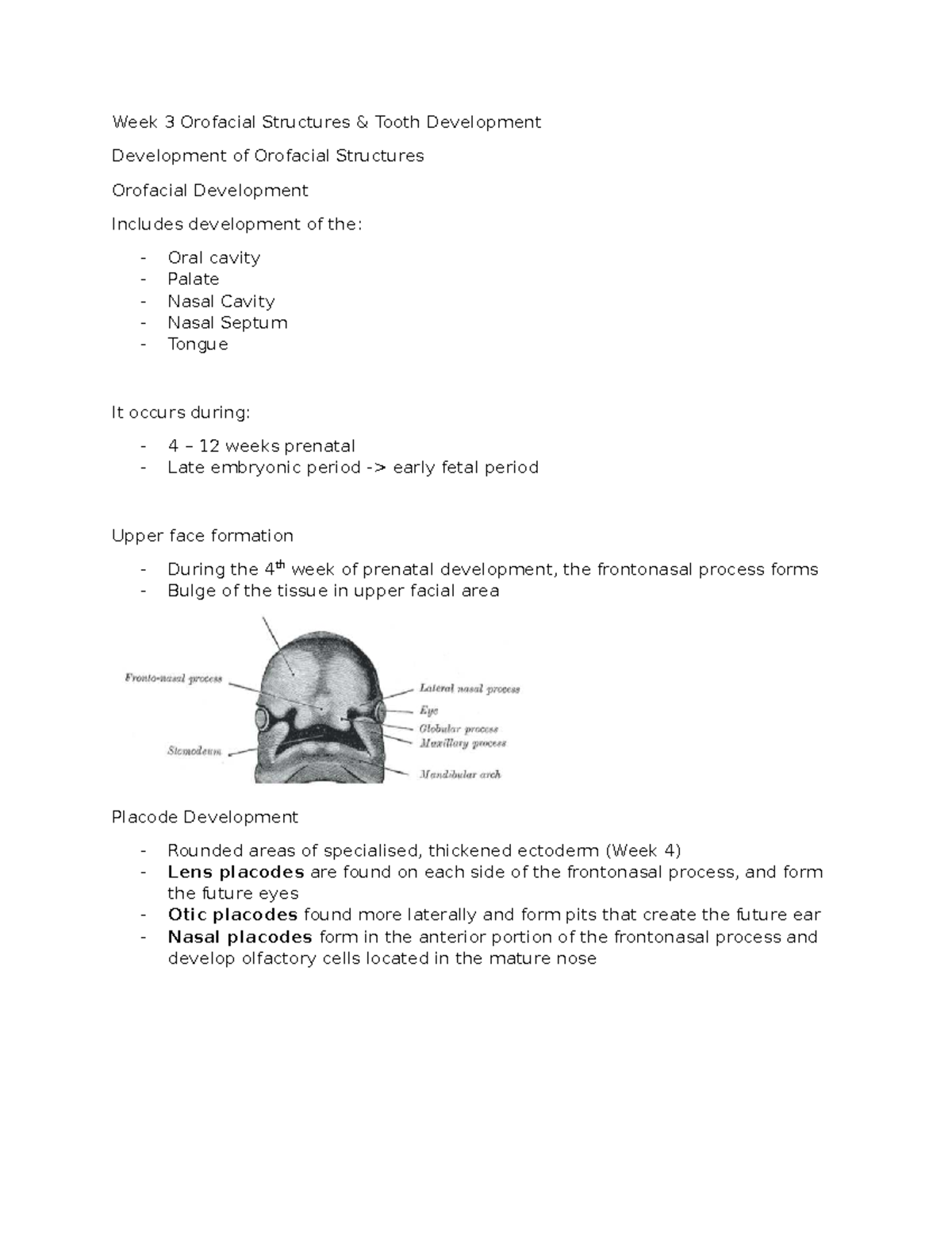 Week 3 Orofacial Structures: Tooth & Palate Development Insights - Studocu