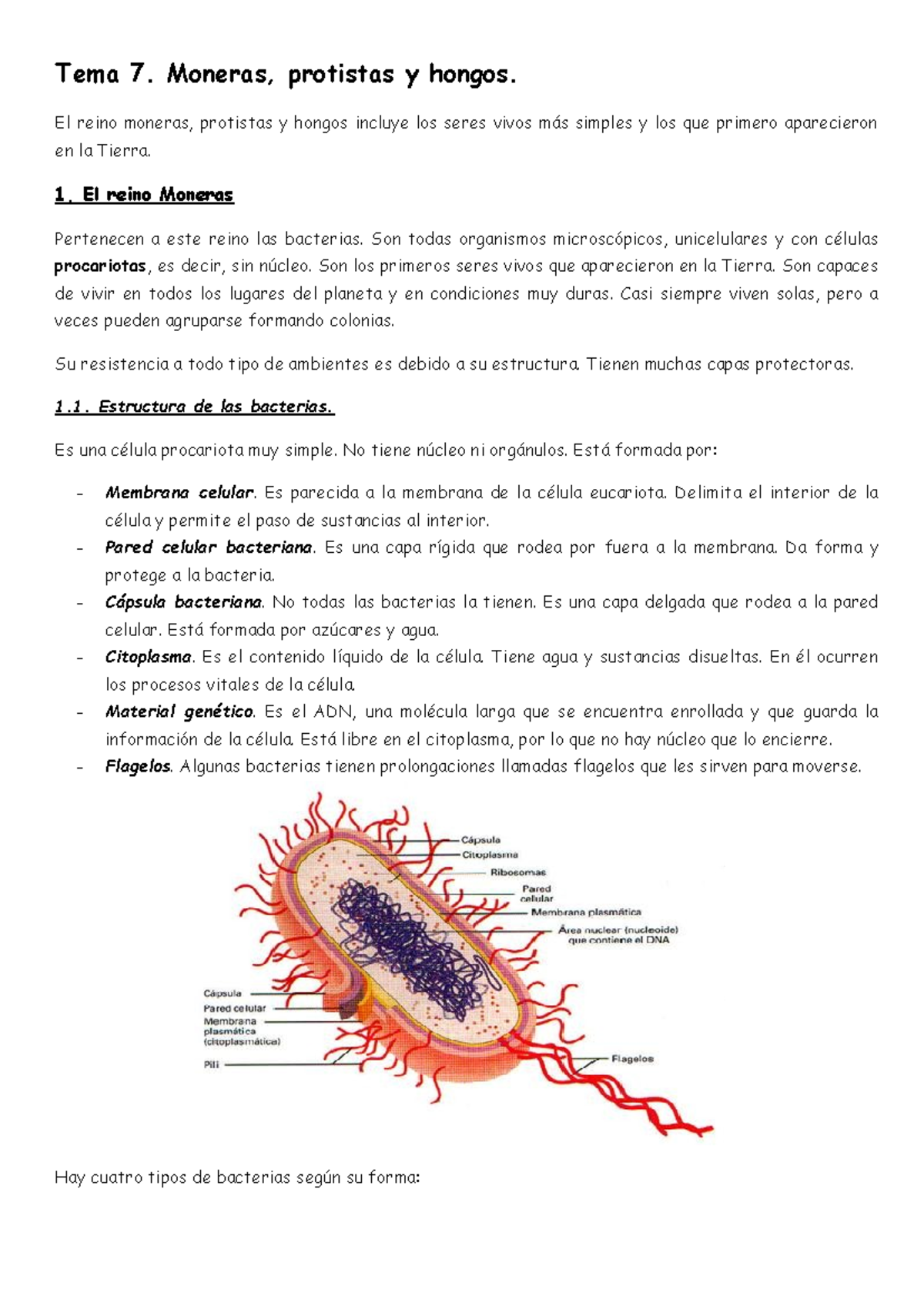 Tema 7: Moneras, Protistas y Hongos - Estructura y Funciones - Studocu