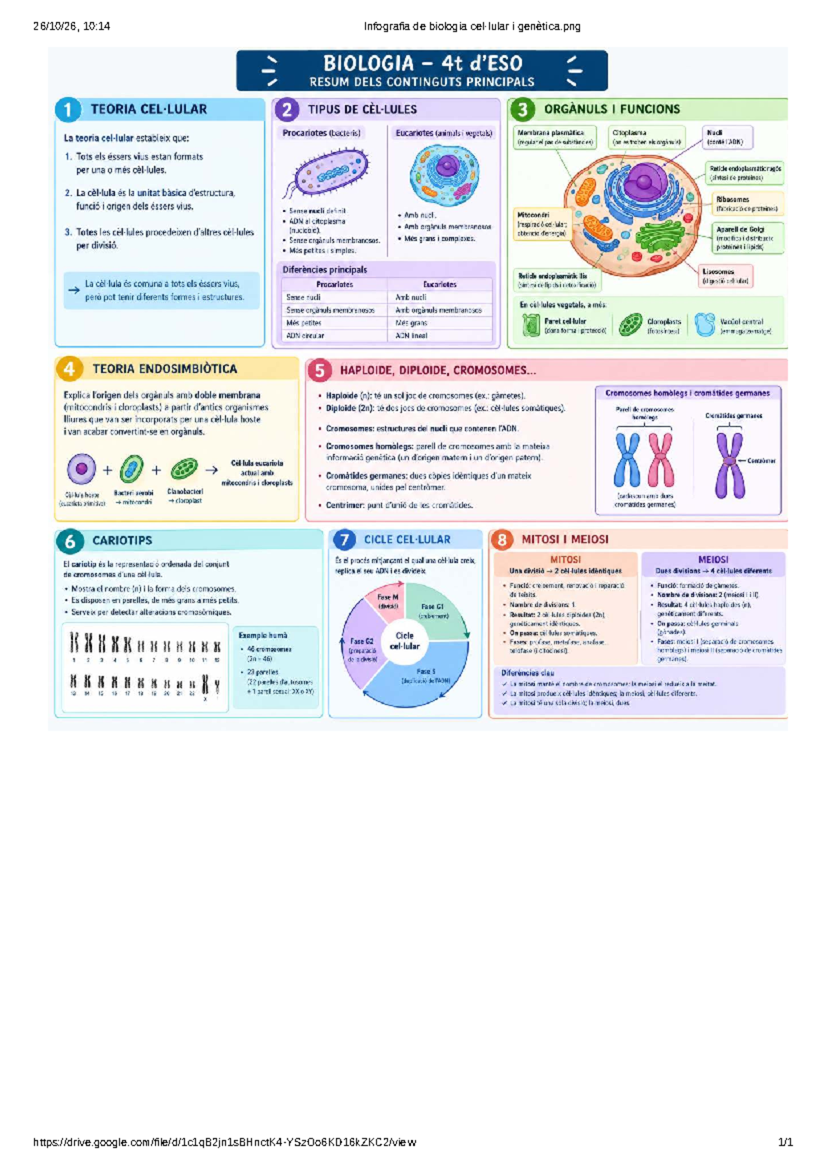 BIOLOGIA 4t: Infografia sobre Teoria Cel·lular i Genètica - Studocu