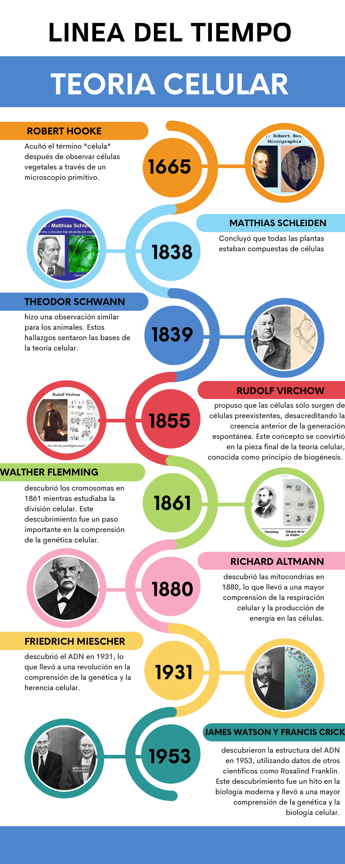 Línea de Tiempo de la Teoría Celular: Principales Aportaciones Históricas - Document Preview