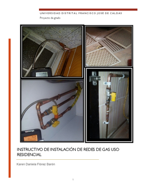 IED - desempeño gas - inspector de gas - Regional Arauca SERVICIO ...