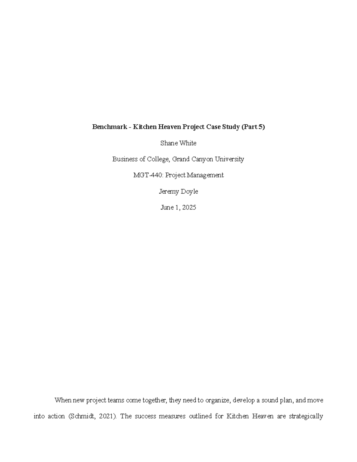 MGT 440 - Kitchen Heaven Project Case Study: Strategic Insights (Part 5 ...