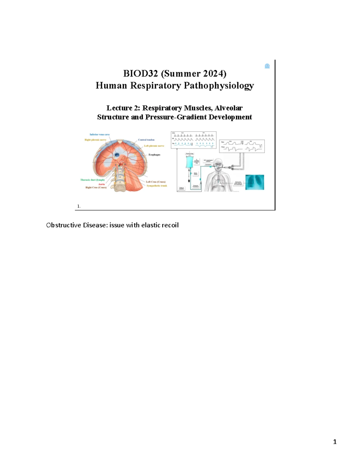 Lecture 3 BIOC32 - BIOD32 (Summer 2024) Human Respiratory ...