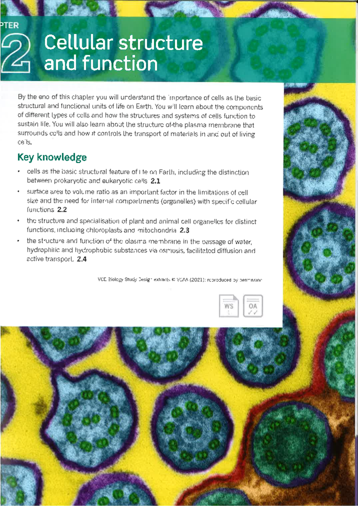 VCE Biology: Chapter 2 - Cellular Structure & Function Overview - Studocu