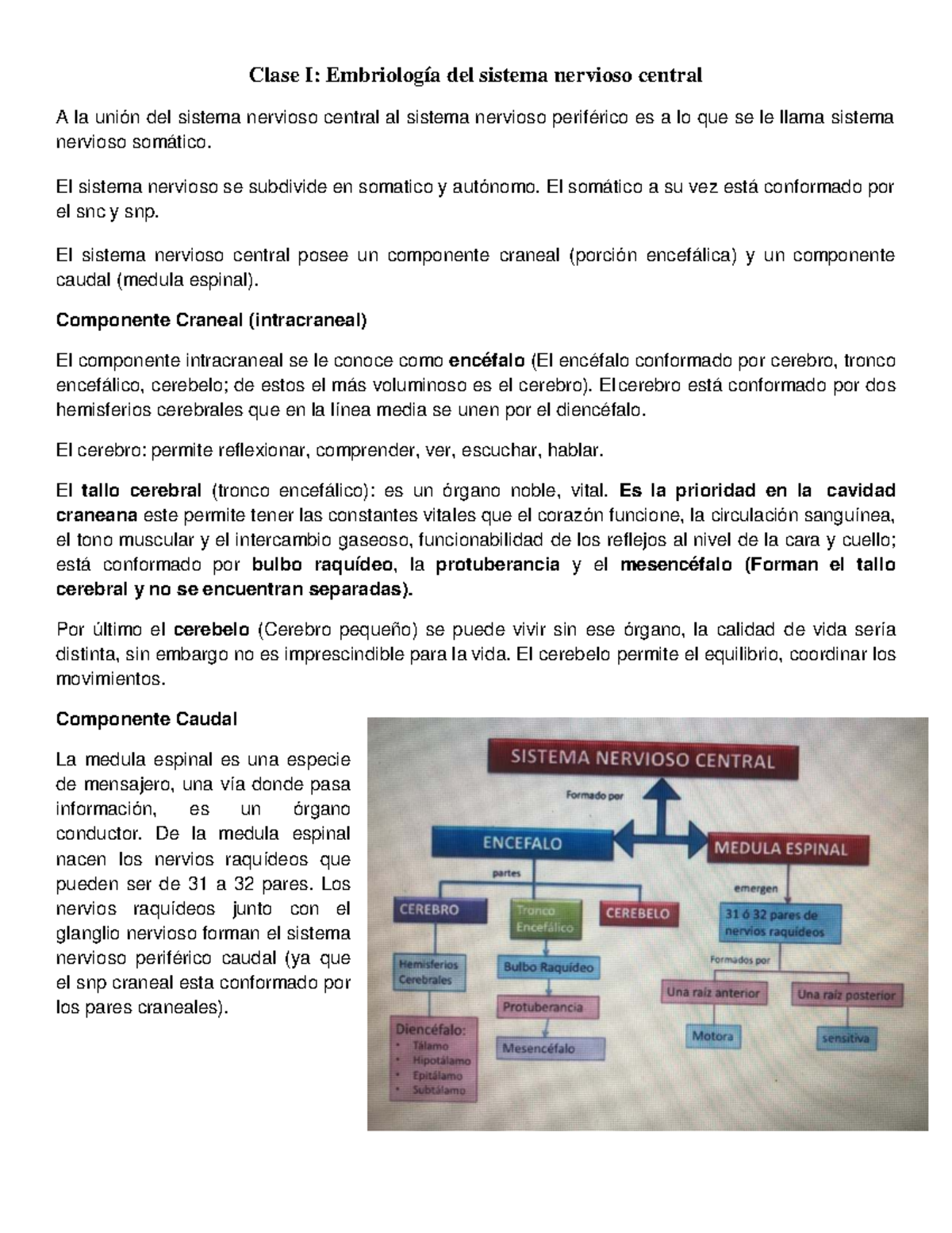 Resumen Primer Parcial Neuro (NEU101) - Embriología y Neurohistología ...