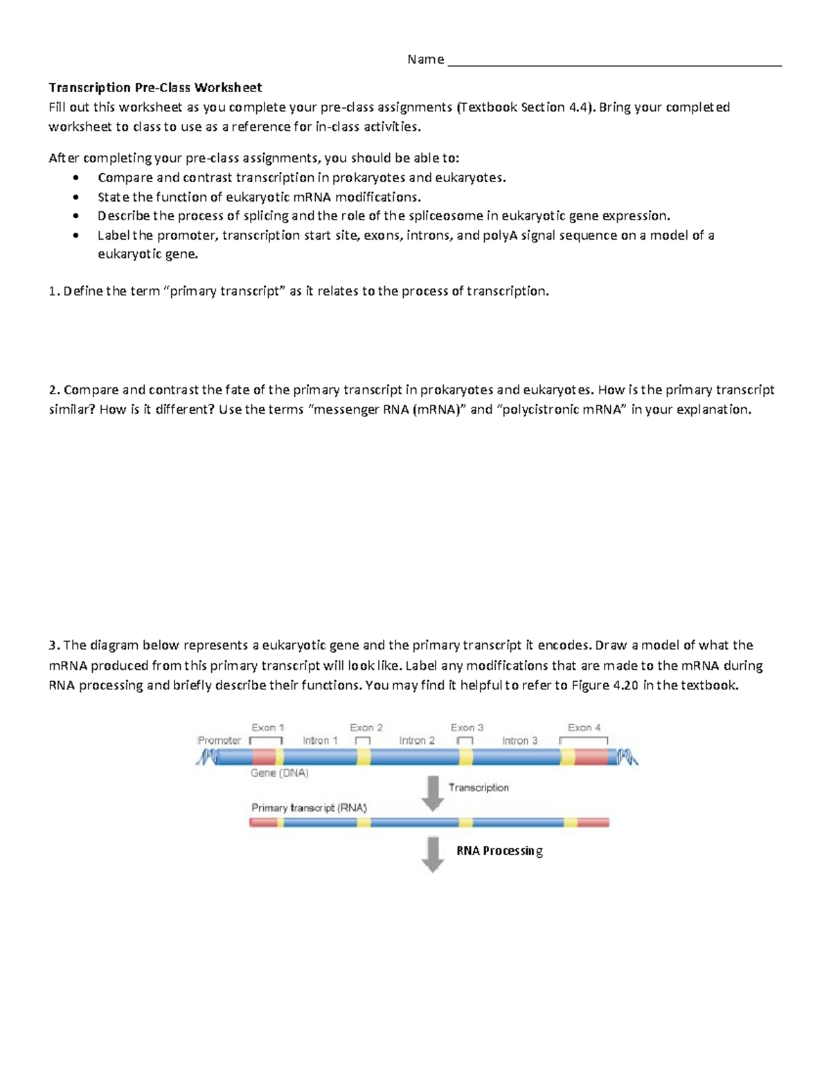 Week 5a Pre-Class Reading Guide: Transcription & RNA Processing - Studocu