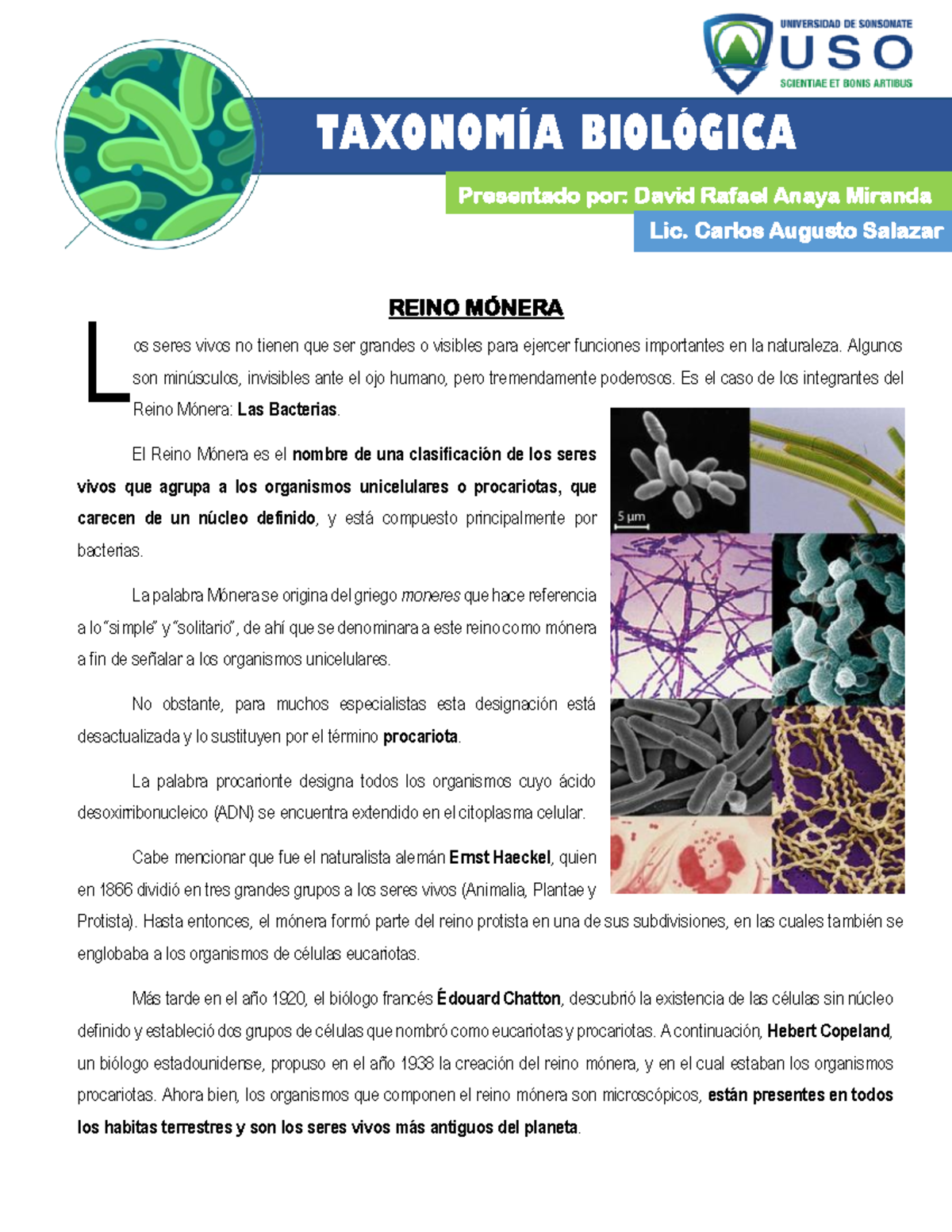 Taxonomía del Reino Mónera: Informe General y Características - Studocu