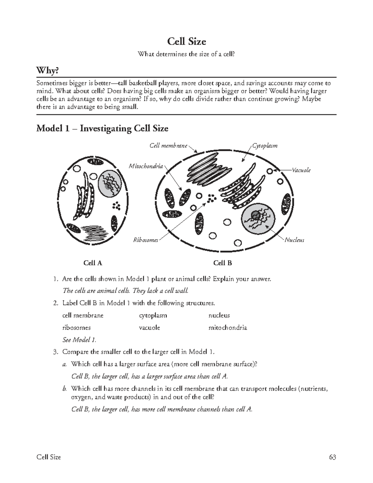 Cell size - key for cell size :)) - Cell Size 63 Cell Size What ...
