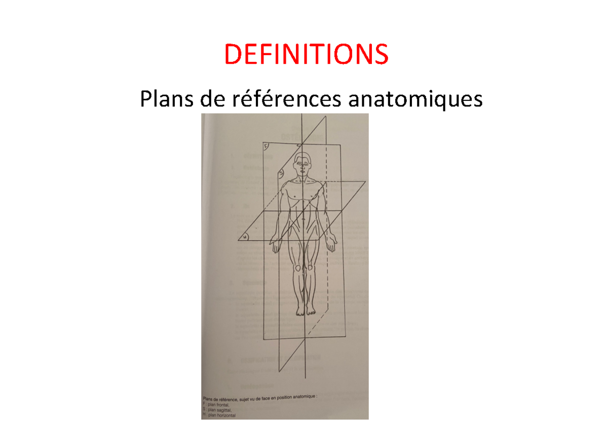 Schéma cours anatomie - DEFINITIONS Plans de références anatomiques ...