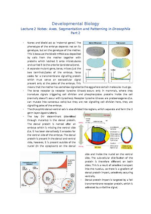 CSIR Plant Developmental Biology Notes, Flowcharts FREE PDF ...