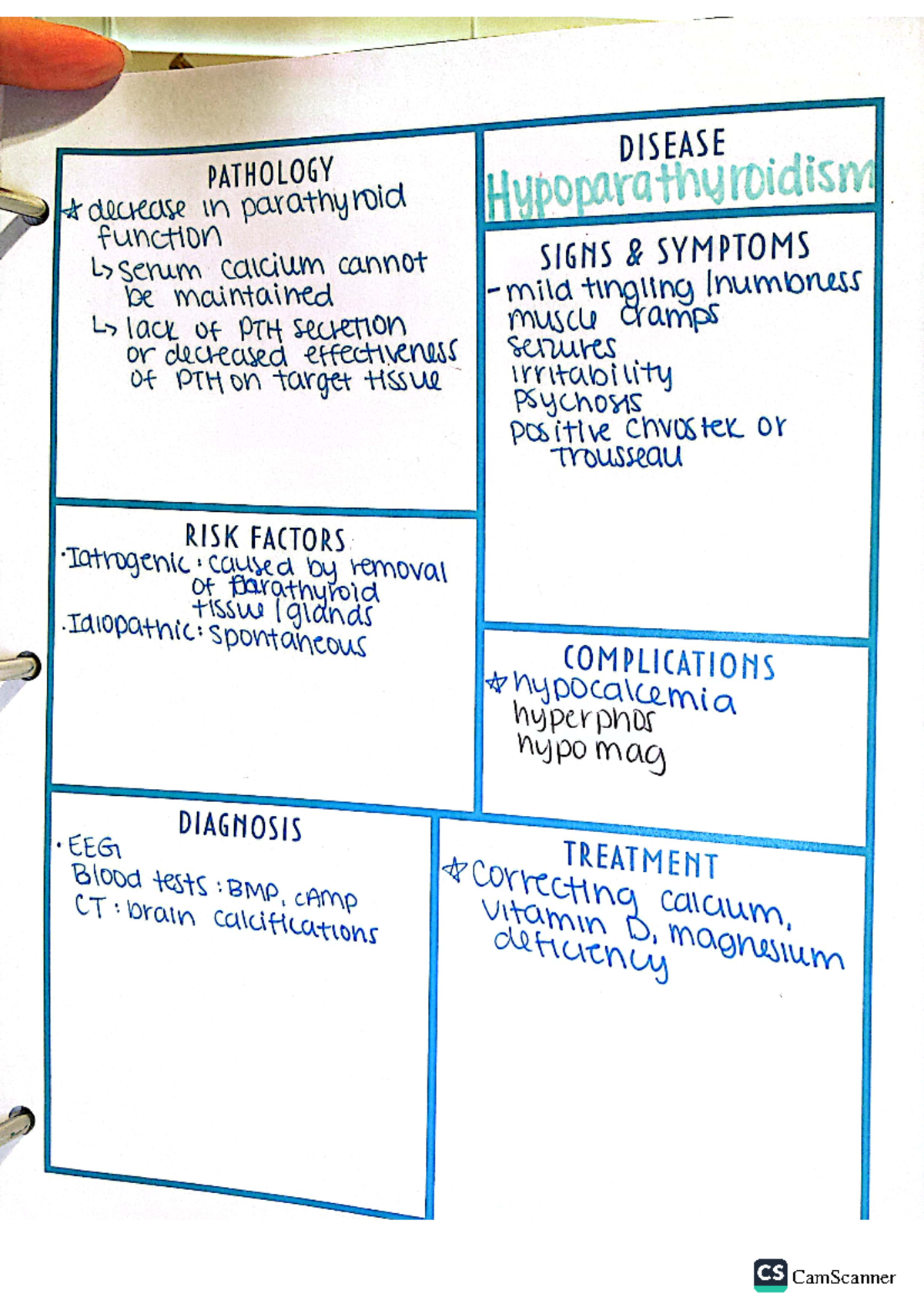World Darts Championship 2026 results, image size:1200x1698