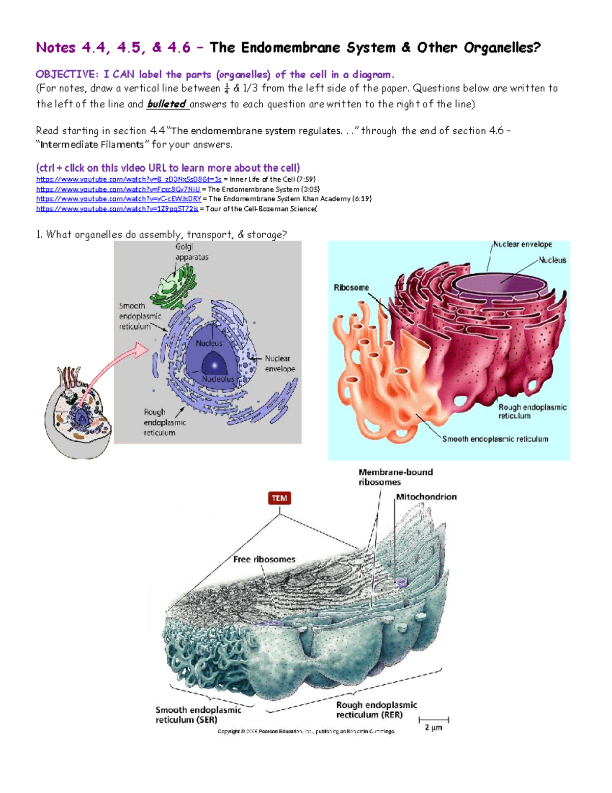 Notes 4.4-4.6: The Endomembrane System & Organelles Overview - Studocu