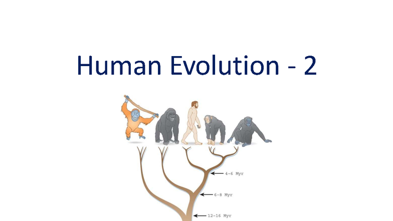 Human Evolution 2: Chapter 17 - Hominins and Their Migration from ...