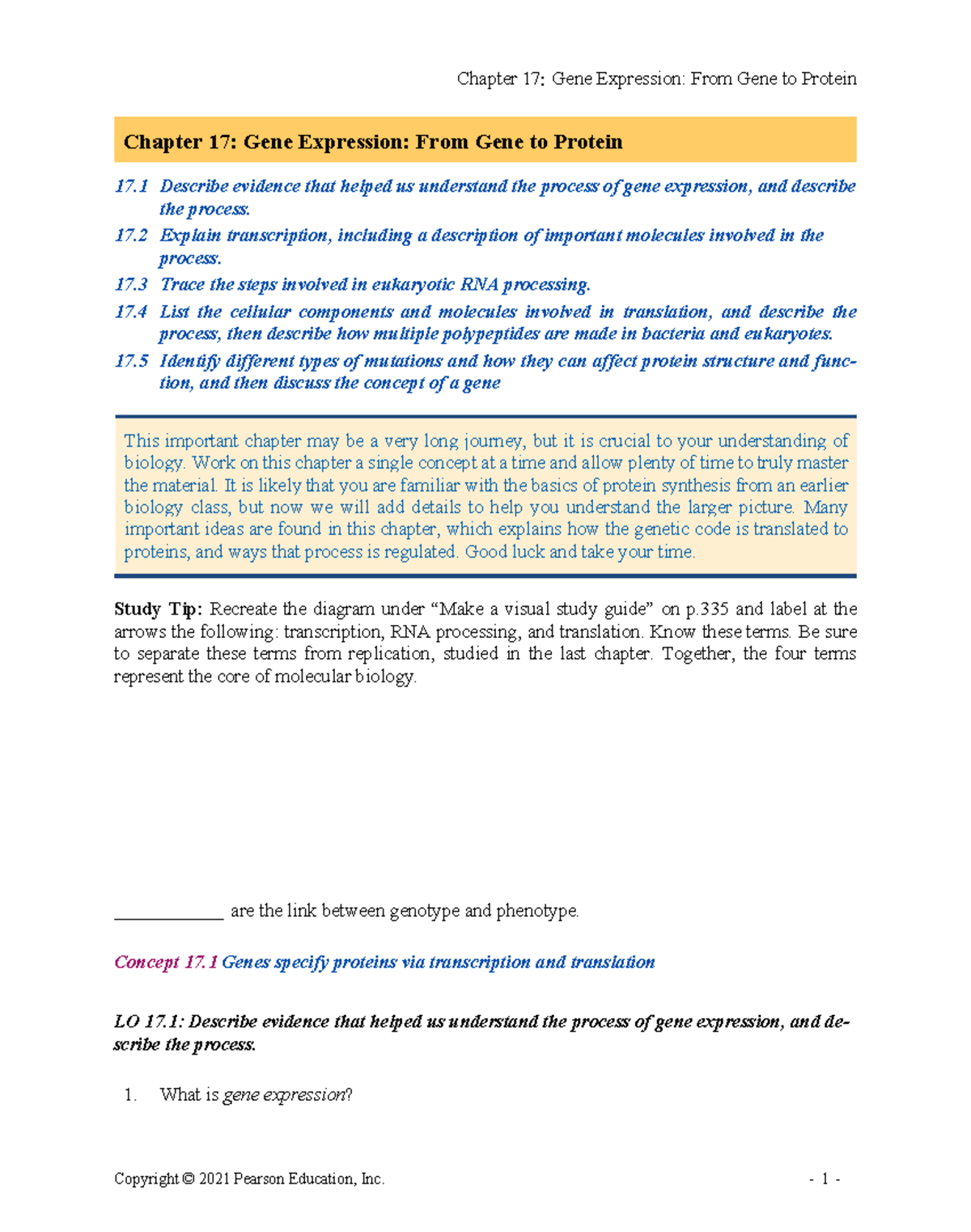 Bio12 ARG 17 - Gene Expression: From Gene to Protein Study Guide - Studocu