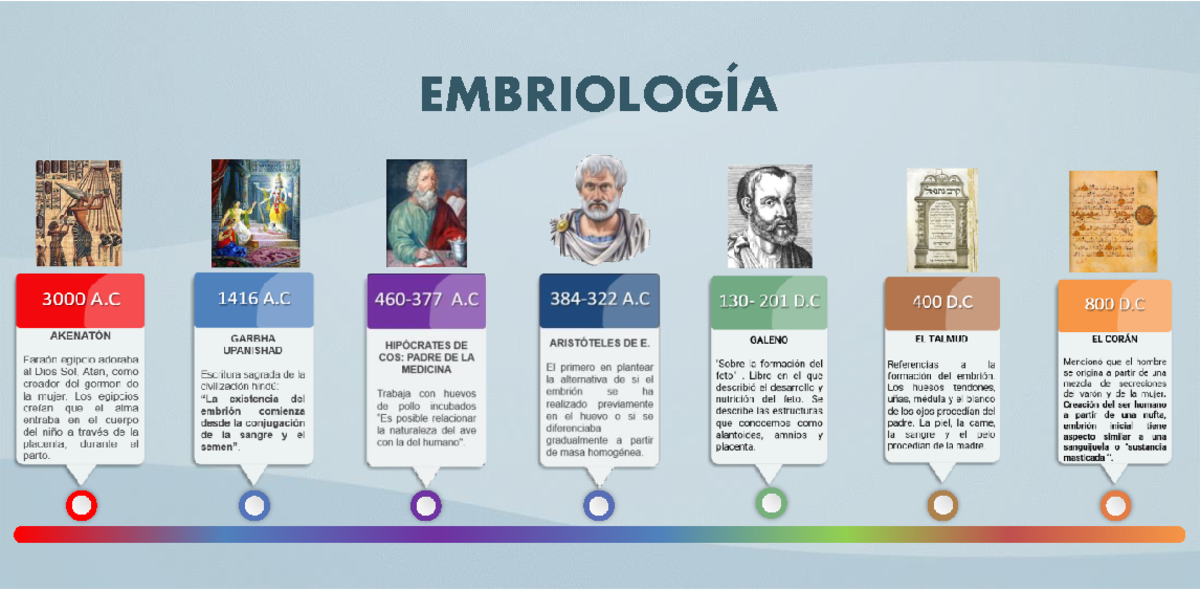 Línea del Tiempo en Embriología: Segundo Semestre de Estudios - Document Preview