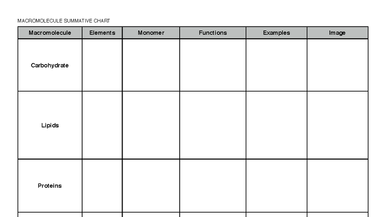 Macromolecule Summary Chart - MACROMOLECULE SUMMATIVE CHART ...