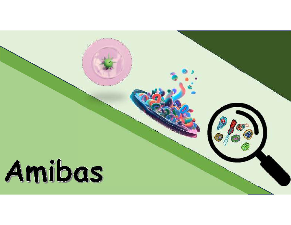 Amibas: Características, Hábitats y Relevancia Ecológica - Studocu