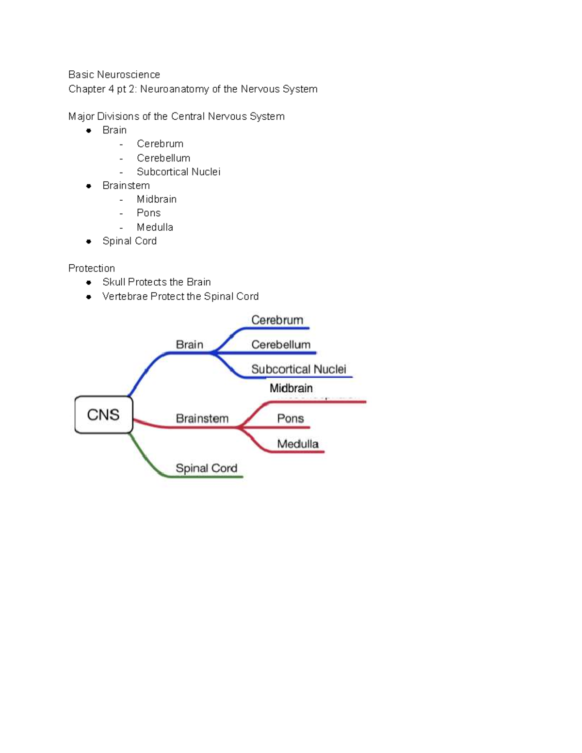 Basic Neuroscience - Chapter 4 Pt 2: Neuroanatomy of CNS & PNS - Studocu