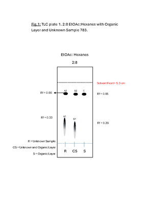 Mitosis Lab #4 - Lab report #4 - Farzam 1 Mitosis Lab Report #4 - A ...
