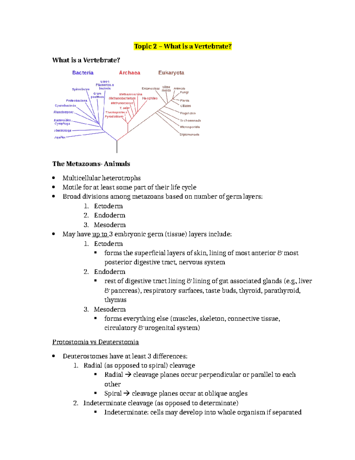 Biol 211 Topic 2: Understanding Vertebrates and Their Characteristics ...