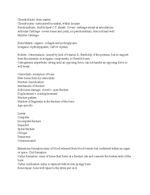 Respiratory System Overview & Key Functions - BIO101 Lecture Notes ...