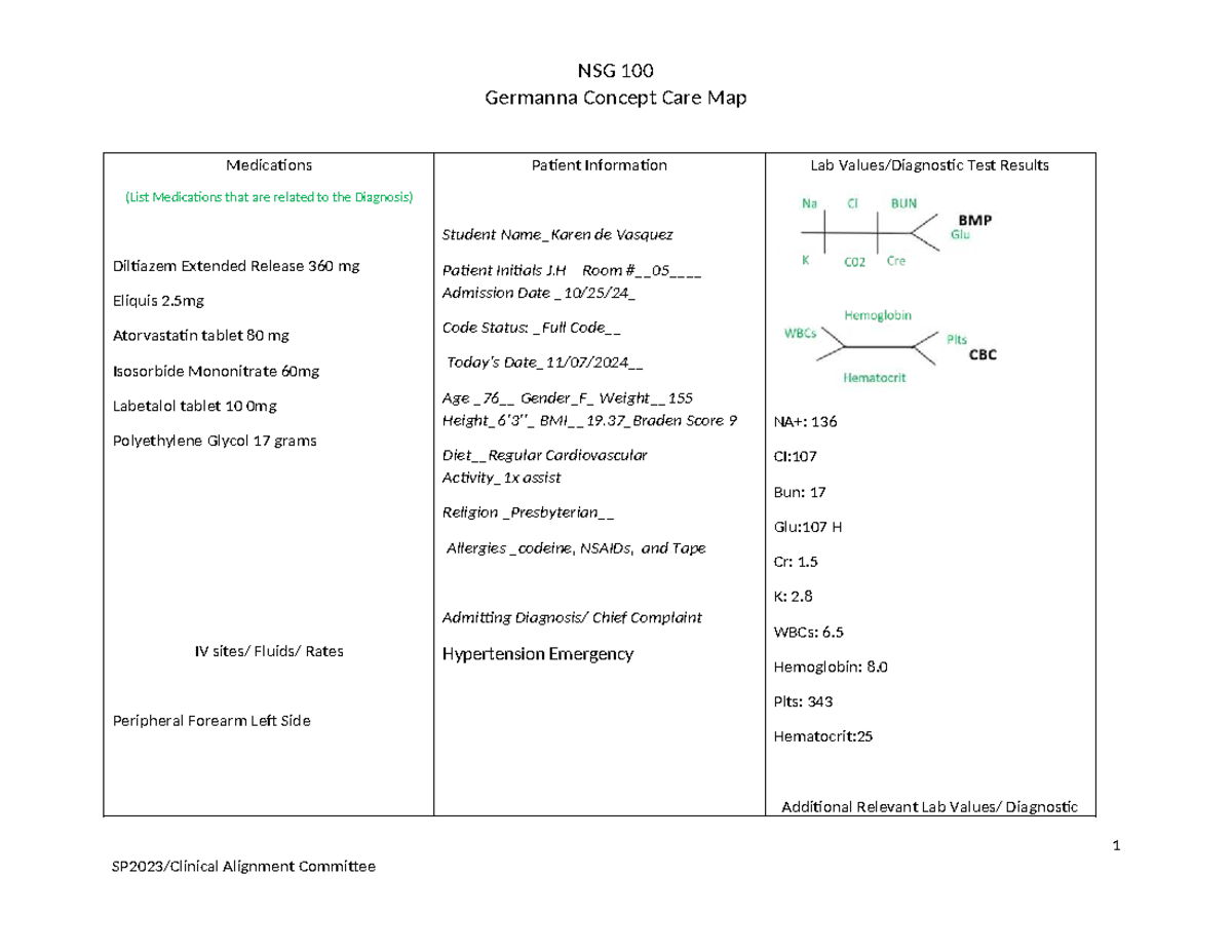 NSG 100 Germanna Concept Care Map: Patient Medications & Lab Results ...