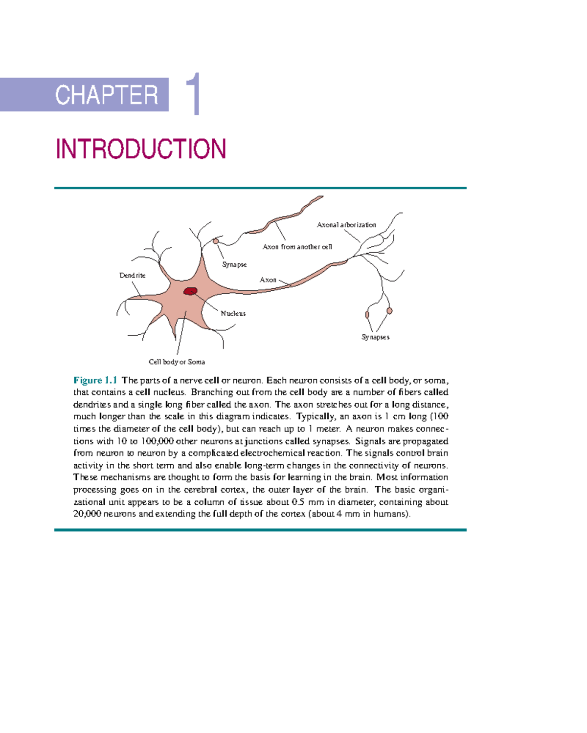 CHAPTER 1: INTRODUCTION TO NEURONS AND INTELLIGENT AGENTS - Studocu